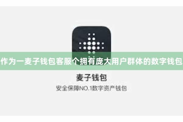 作为一麦子钱包客服个拥有庞大用户群体的数字钱包