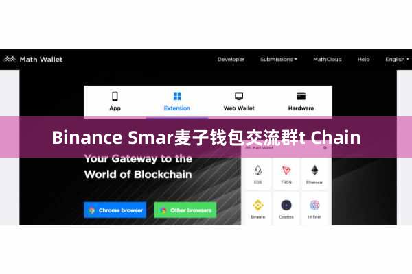Binance Smar麦子钱包交流群t Chain
