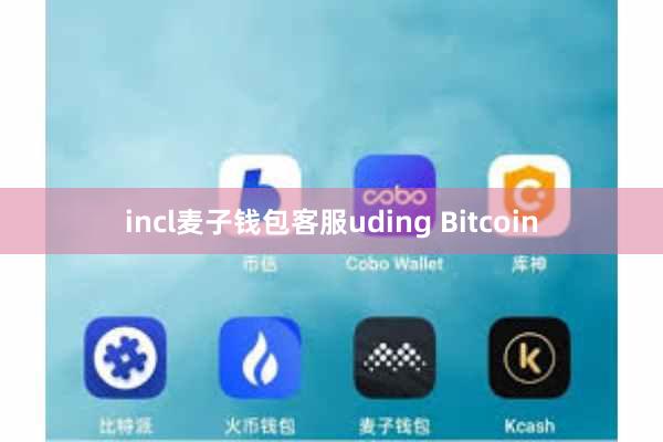 incl麦子钱包客服uding Bitcoin