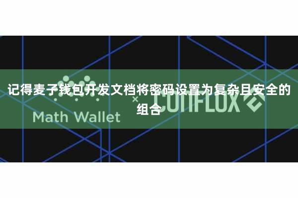 记得麦子钱包开发文档将密码设置为复杂且安全的组合