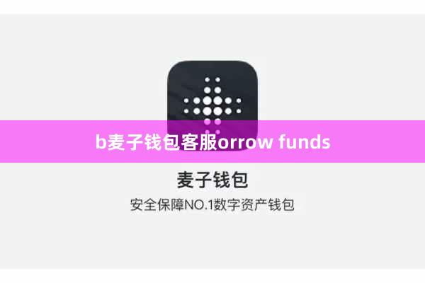b麦子钱包客服orrow funds