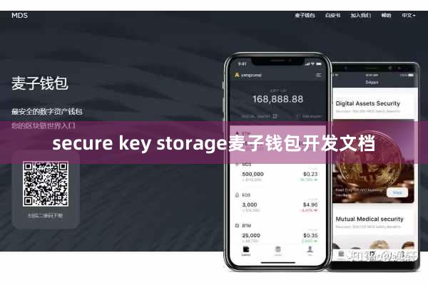 secure key storage麦子钱包开发文档