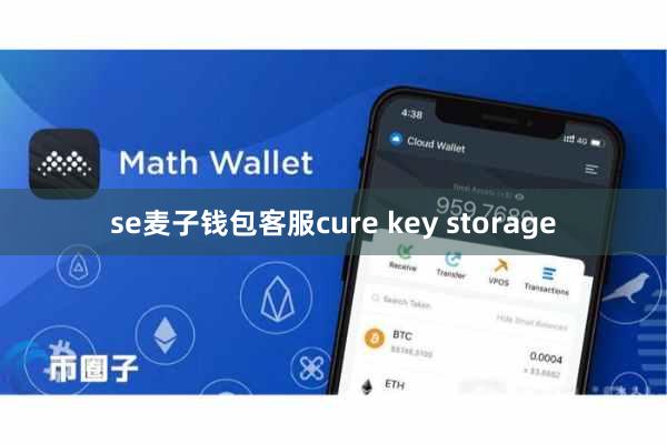 se麦子钱包客服cure key storage