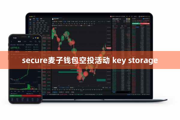 secure麦子钱包空投活动 key storage