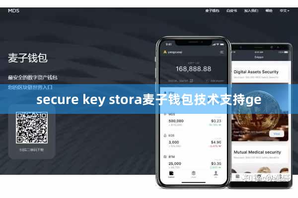 secure key stora麦子钱包技术支持ge