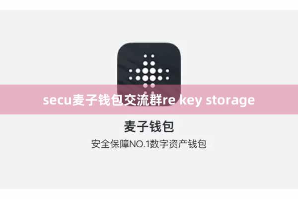 secu麦子钱包交流群re key storage