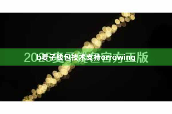 b麦子钱包技术支持orrowing