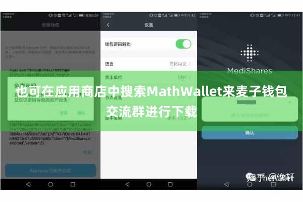 也可在应用商店中搜索MathWallet来麦子钱包交流群进行下载