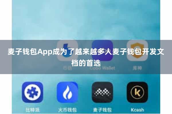 麦子钱包App成为了越来越多人麦子钱包开发文档的首选