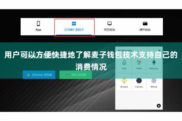 用户可以方便快捷地了解麦子钱包技术支持自己的消费情况