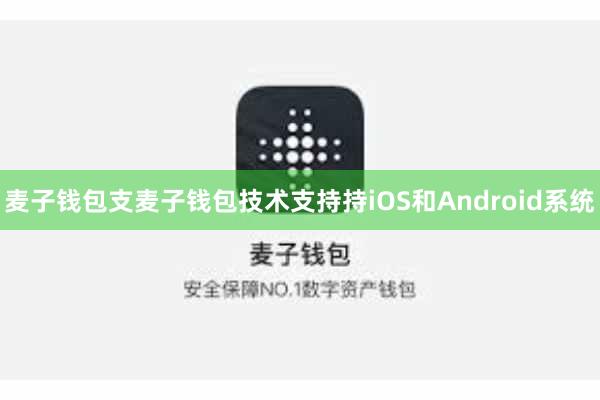 麦子钱包支麦子钱包技术支持持iOS和Android系统